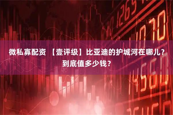 微私寡配资 【壹评级】比亚迪的护城河在哪儿？到底值多少钱？