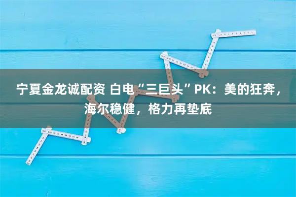 宁夏金龙诚配资 白电“三巨头”PK：美的狂奔，海尔稳健，格力再垫底