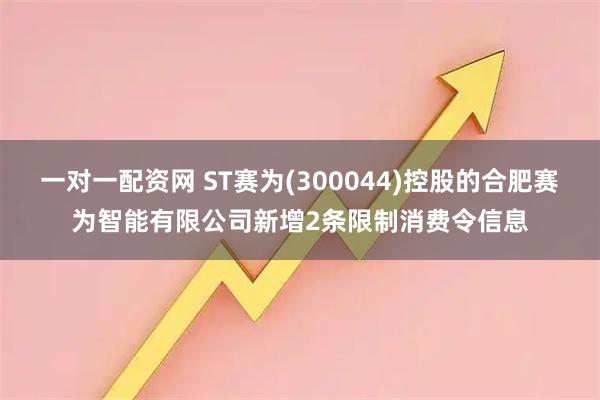 一对一配资网 ST赛为(300044)控股的合肥赛为智能有限公司新增2条限制消费令信息